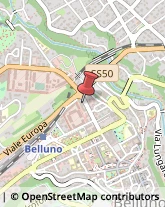 Assicurazioni,32100Belluno