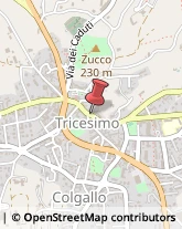 Pensioni Tricesimo,33019Udine