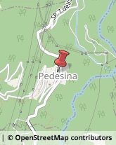 Agenzie Immobiliari Pedesina,23017Sondrio