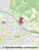 Asili Nido Bormio,23032Sondrio