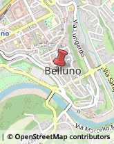 Campane Belluno,32100Belluno