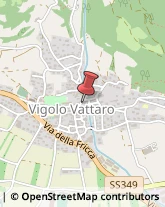 Erboristerie Vigolo Vattaro,38049Trento