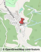 Aziende Agricole Cinte Tesino,38050Trento