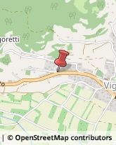 Autotrasporti Vigolo Vattaro,38049Trento