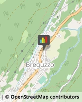 ,38081Trento