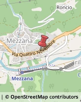 Agenzie Immobiliari Mezzana,38020Trento