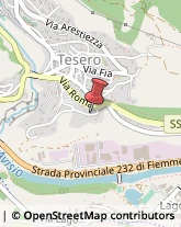 Ambulatori e Consultori Tesero,38038Trento