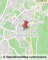 Scultori d'Arte - Studi Caldaro sulla Strada del Vino,39052Bolzano