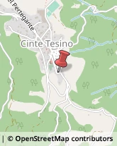 Comuni e Servizi Comunali Cinte Tesino,38050Trento