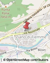 Autotrasporti Ziano di Fiemme,38030Trento