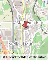 Fisiokinesiterapia - Medici Specialisti Trento,38123Trento