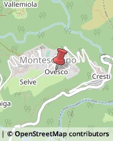 Autotrasporti Montescheno,28843Verbano-Cusio-Ossola