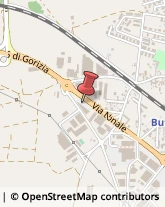 Gelaterie Buttrio,33042Udine