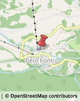 Articoli Sportivi - Dettaglio Peio,38020Trento