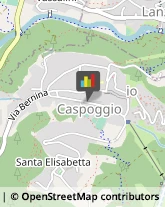 Articoli Sportivi - Dettaglio Caspoggio,23020Sondrio