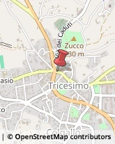 Cartolerie Tricesimo,33019Udine