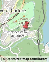 Consulenza Agricoltura e Foresta Pieve di Cadore,32044Belluno