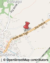 Autofficine e Centri Assistenza Santa Giustina,32035Belluno