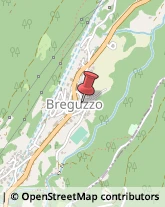 Autotrasporti Breguzzo,38081Trento