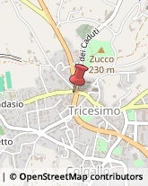 Macellerie Tricesimo,33019Udine