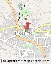 Consulenza di Direzione ed Organizzazione Aziendale Tricesimo,33019Udine