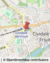 Bulbi e Sementi Cividale del Friuli,33043Udine