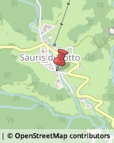 Ristoranti Sauris,33020Udine