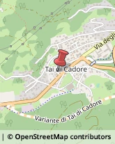 Articoli per Ortopedia Pieve di Cadore,32044Belluno