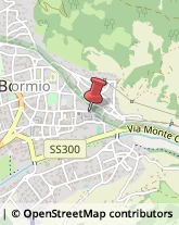 Rosticcerie e Salumerie Bormio,23032Sondrio