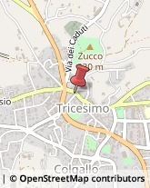 Assicurazioni Tricesimo,33019Udine