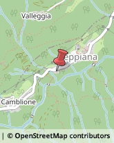 Ristoranti Seppiana,28843Verbano-Cusio-Ossola