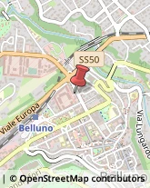 ,32100Belluno