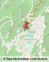 Aziende Agricole Calavino,38072Trento