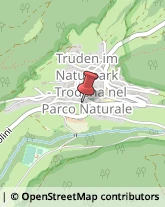 Pensioni Trodena nel parco naturale,39040Bolzano