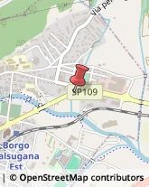 Autotrasporti Borgo Valsugana,38051Trento