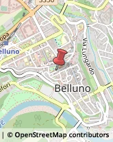 Recupero Crediti Belluno,32100Belluno