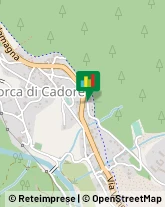 Trasporto Pubblico Borca di Cadore,32040Belluno