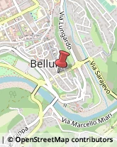 Agenti e Rappresentanti di Commercio,32100Belluno