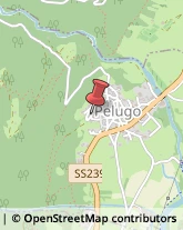 Artigianato Tipico Pelugo,38079Trento