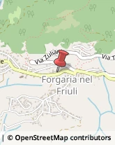 Macellerie Forgaria nel Friuli,33030Udine