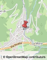 Bar e Caffetterie Falcade,32020Belluno