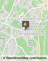 Cooperative e Consorzi Caldaro sulla Strada del Vino,39052Bolzano