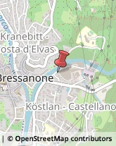 Piante e Fiori - Dettaglio Bressanone,39042Bolzano
