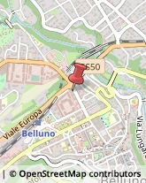 Consulenza alle Imprese e agli Enti Pubblici Belluno,32100Belluno