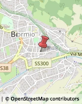 Agenzie Immobiliari Bormio,23032Sondrio