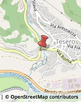 Assicurazioni Tesero,38038Trento