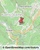 Aziende Agricole Caines,39010Bolzano