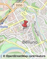 Agrumi Belluno,32100Belluno