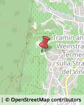 Campionari Termeno sulla Strada del Vino,39040Bolzano