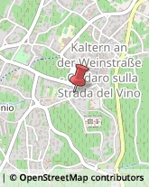 Vivai Piante e Fiori Caldaro sulla Strada del Vino,39052Bolzano